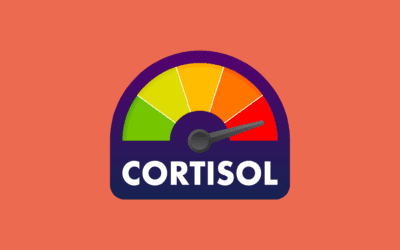 L’impact du cortisol sur le poids : comprendre et gérer les hormones du stress !